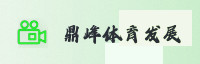 合作伙伴